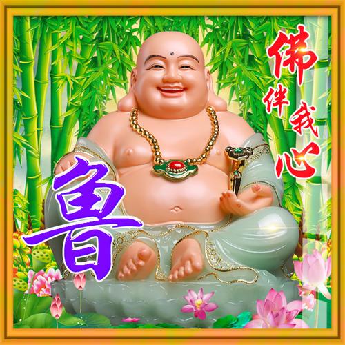 鲁姓兔宝宝取名（鲁姓宝宝名字）