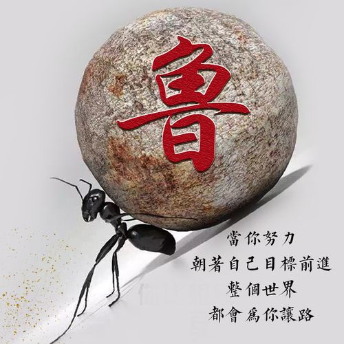 鲁姓兔宝宝取名（鲁姓宝宝名字）