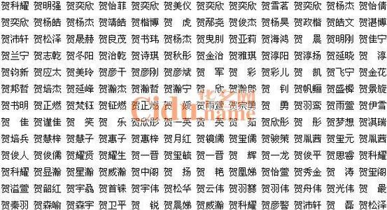 公司起名字带贺的名字（寓意好带贺的名字）