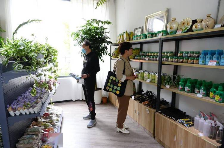 绿植园艺店铺起名字大全（绿植园艺店怎么开）