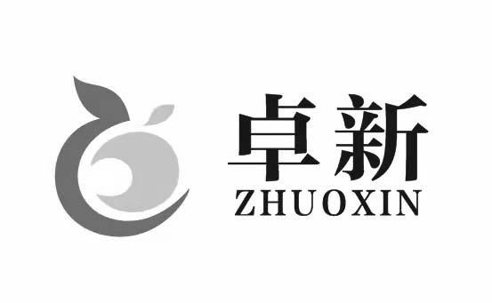 公司起名字带卓的名字大全（有卓字的公司名字）