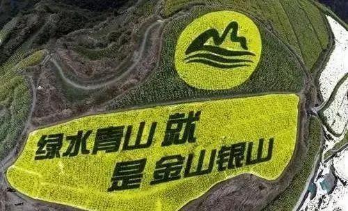 闲置采矿公司起名字怎么起（闲置采矿公司起名字怎么起的）