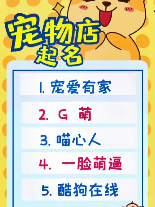 给宠物店铺起名大全女孩（宠物店取名字好听）