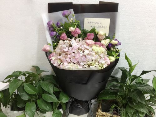女装鲜花店铺起名字大全（花艺服装店名字）