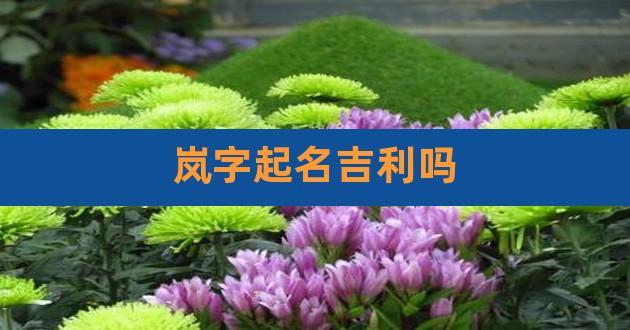 宝宝起名字岚（岚字起名吉利吗）