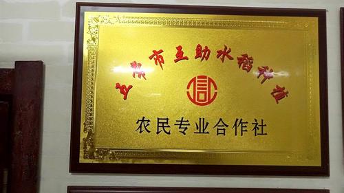 农村店铺起名称大全（农民店铺名字）