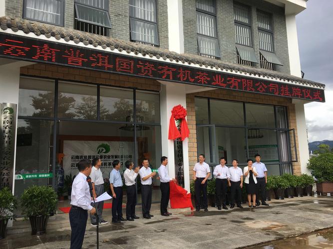 普洱新公司起名字（普洱市的公司）