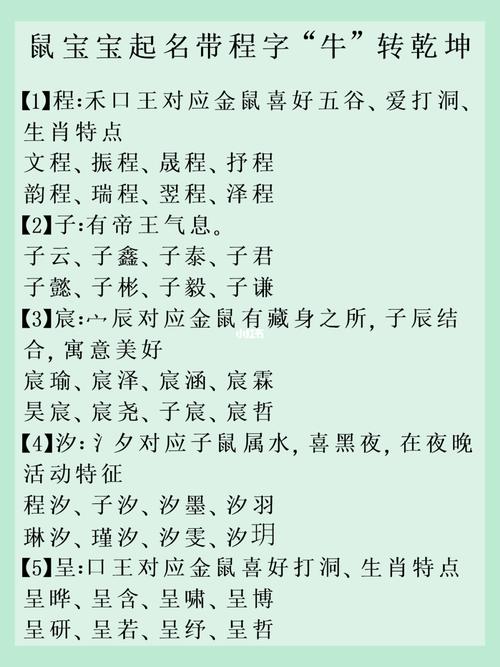 起名字鼠宝宝（鼠宝宝起名网）