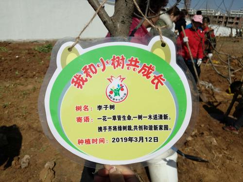 给小树取名字大全（给小树取名字大全女孩）