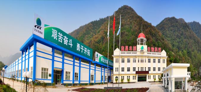 宜昌食品公司起名字大全（响亮的食品公司名字）