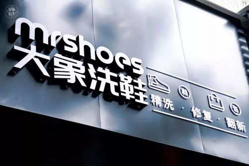 鞋子洗护店铺起名字大全集（洗鞋店名字好听的）