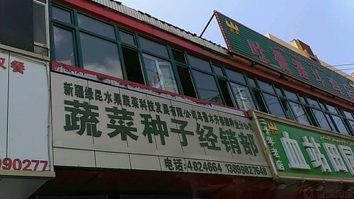 给种子公司起名字（给种子公司起名字怎么起）