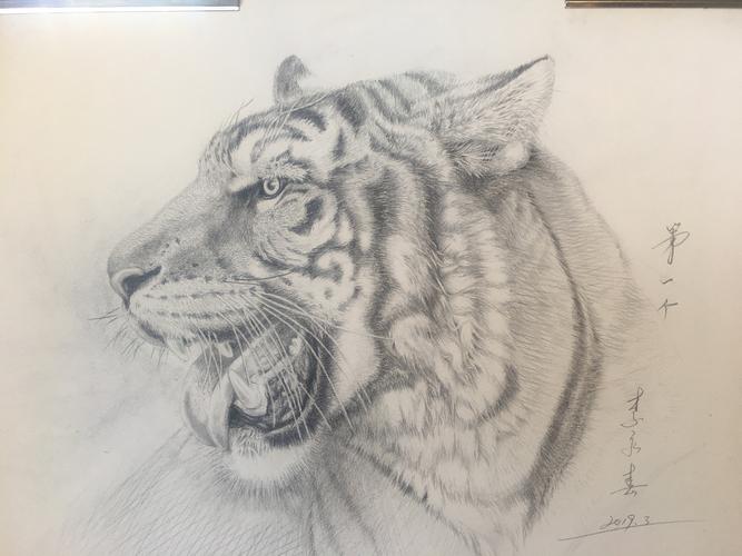 素描班起名字虎宝宝（素描好听的名字）
