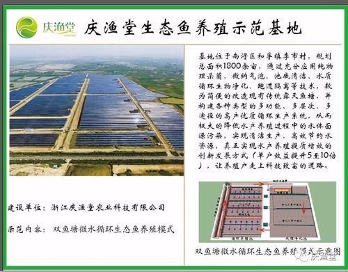 水产养殖类公司起名字大全（水产养殖公司名称）