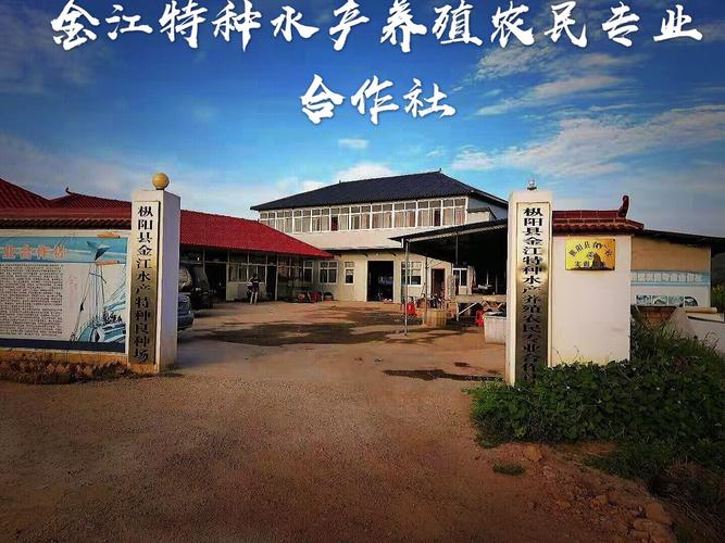水产养殖类公司起名字大全（水产养殖公司名称）