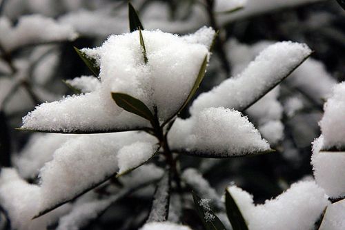 初雪起名女宝名字大全（初雪出生的宝宝小名）