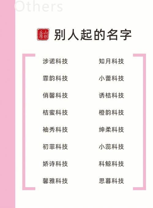 公司怎样起名字更科技（公司名用科技有什么要求吗）