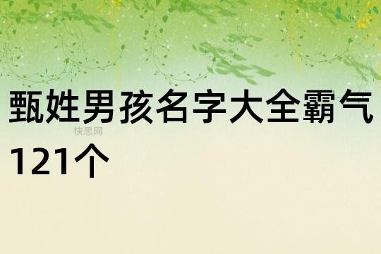 甄姓缺木男孩起名字大全（甄取什么名字好听男孩）