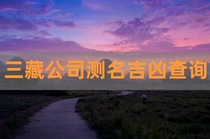 测公司名称（三藏免费测公司名称）