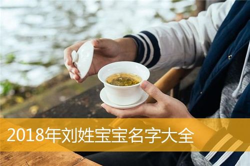 2018刘姓氏宝宝起名字（2018刘姓氏宝宝起名字大全）