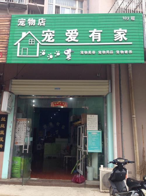 南宁起名字宠物公司（南宁的宠物店有哪几家）