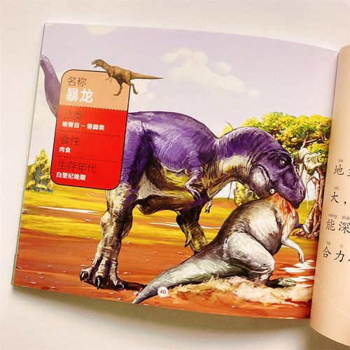 给画册起名字大全（给画册起名字大全霸气）