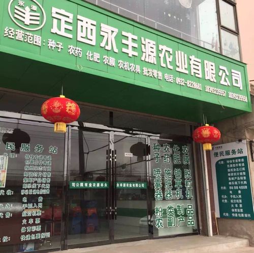定西起名字公司（定西公司排名）