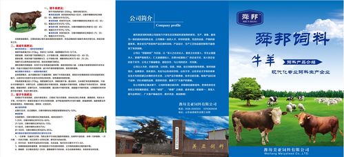 牛饲料公司起名字（好听的饲料公司名字）