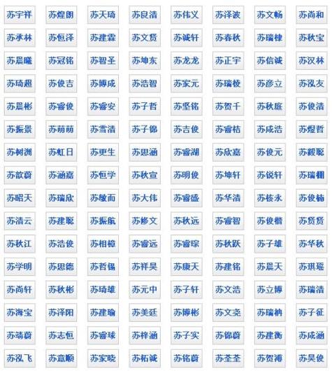 男孩子起名字大全姓苏的（姓苏男孩取名字）