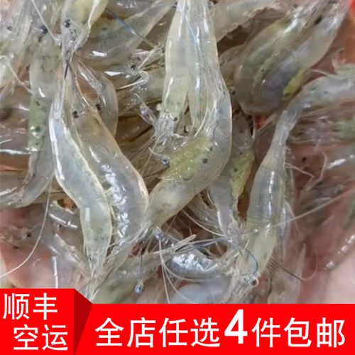 宝宝起名字小虾米（虾取名字）