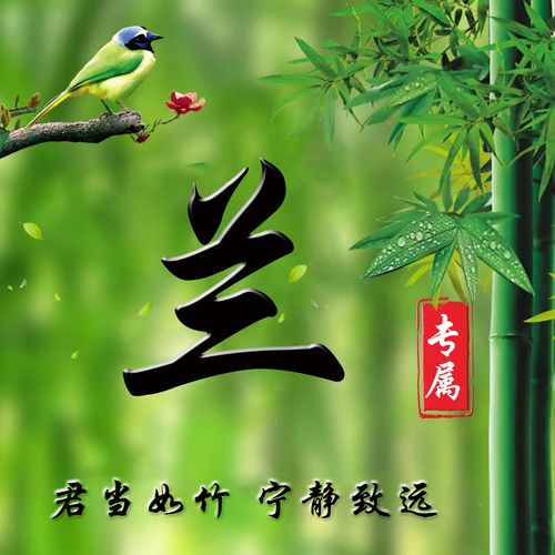 兰姓宝宝起名字女孩（兰姓取名简单大气 女）