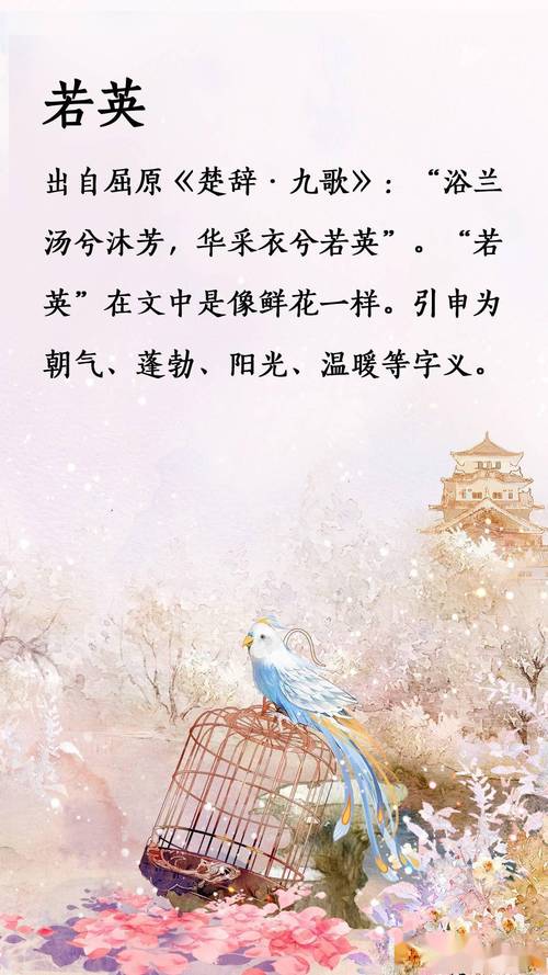 用鲜花给宝宝起名字（用花名给宝宝起小名）