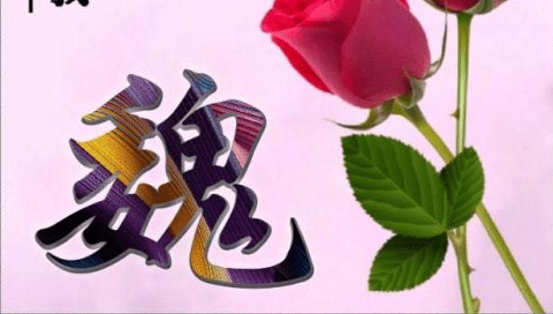 魏起名字大全单字（魏取名字大全魏字开头）