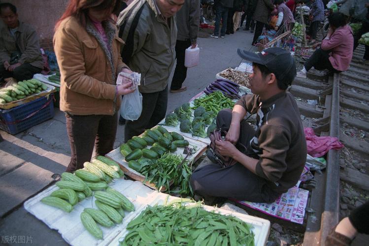 卖蔬菜苗的店铺起名字大全（卖蔬菜苗赚钱吗）