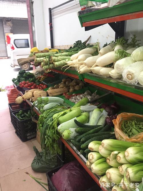 卖蔬菜苗的店铺起名字大全（卖蔬菜苗赚钱吗）