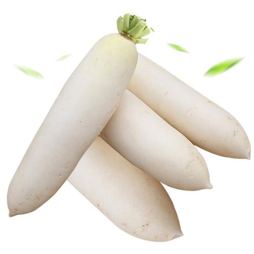 脆白萝卜店铺起名大全（脆白萝卜店铺起名大全及寓意）