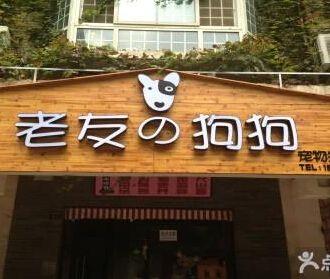 给宠物店铺起名大全男宝宝（宠物店取名字好听）