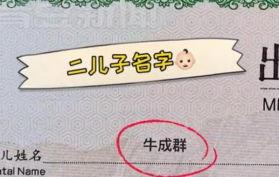 姓文牛宝宝起名字（姓文的牛宝宝）