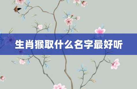 1980年属猴人公司起名（1980年属猴人公司起名宜用木和水的字）