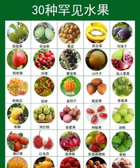 芒果起名字大全（芒果起名字大全四个字）