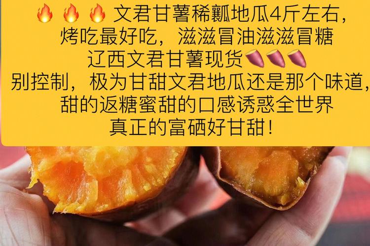 地瓜起名字大全（地瓜店取名字大全）