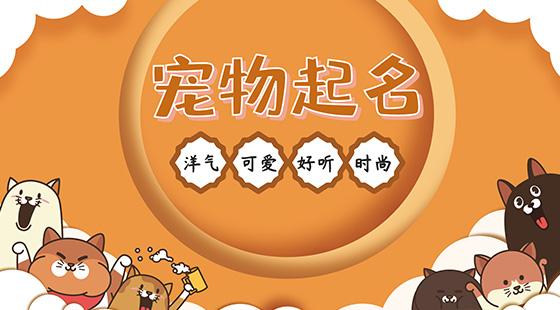 宠物起名字大全招财搞笑的（宠物起名字大全招财搞笑的两个字）