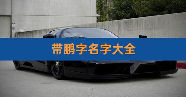 鹏起名字大全（鹏什么名字好听）