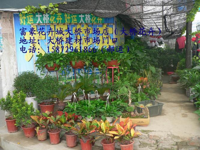 园艺取名店铺起名大全（园艺店起什么名字好记）