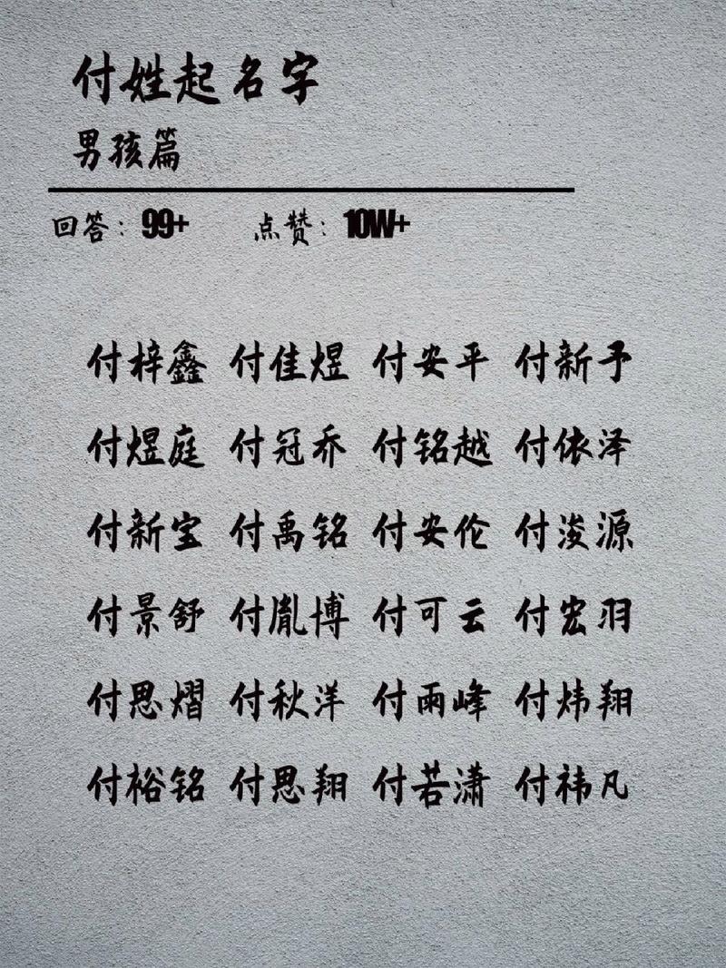 姓付的男生宝宝起名字（姓付的男宝宝名字洋气）