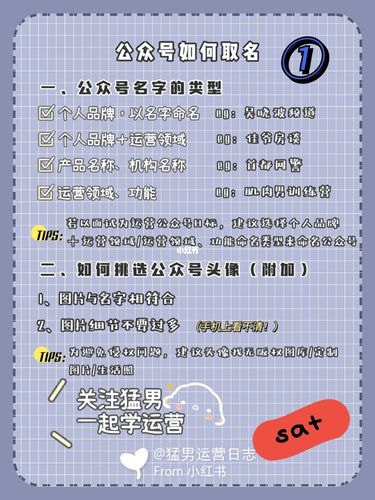 开公司起名字公众号（取名 公众号）