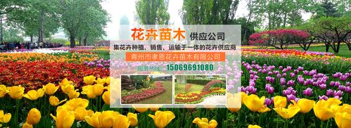 给苗木公司起名字大全集（给苗木公司起名字大全集两个字）