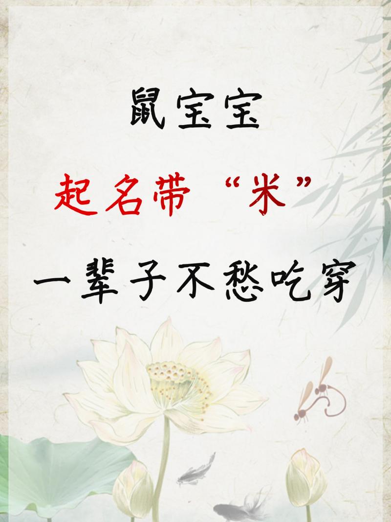 鼠宝宝起名字带米字（鼠宝带米字的小名男孩）