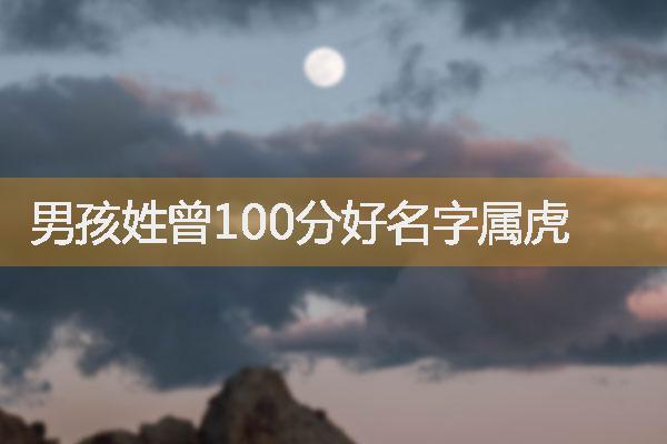 属虎人微信起名字大全集（属虎的人微信名）