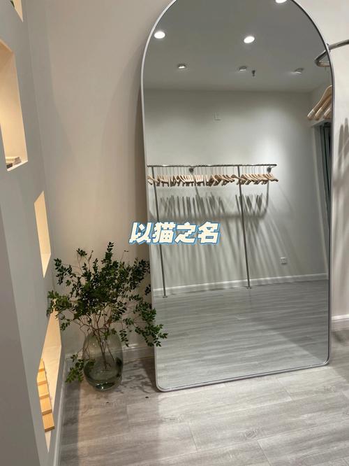 试衣镜店铺起名字大全（服装店的试衣镜放哪个位置好,招财）